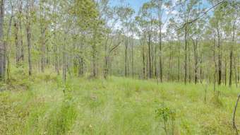 Farm Property for Sale -  Gaeta Road Gaeta QLD 4671