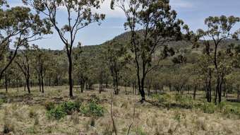 Farm Property for Sale - 521 MacGinleys Road West Haldon QLD 4359