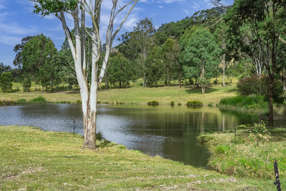 Farm Property for Sale - 27C Park Street East Gresford NSW 2311