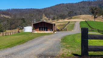 Farm Property for Sale - 293 Hanleys Creek Road, Tabbil Creek Via Dungog NSW 2420