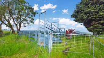 Farm Property for Sale -  Bornong Road Cooriemungle VIC 3268