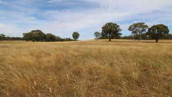 Farm Property for Sale -  Calder Highway Wedderburn VIC 3518