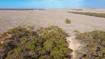 Farm Property for Sale - Lot 33 Black Hill Road Cambrai SA 5353
