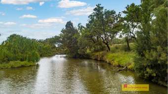 Farm Property for Sale - 176 Kaludabah Road Mudgee NSW 2850
