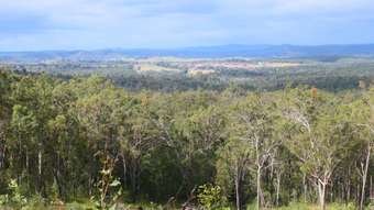 Farm Property for Sale - 412 Bruxner Road Drake NSW 2469