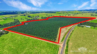 46 Hughes Road Upper Barron QLD 4883