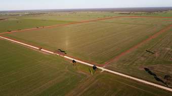 Farm Property for Sale - 565/570 Pier Point &amp; Dabinett Roads Custon SA 5269