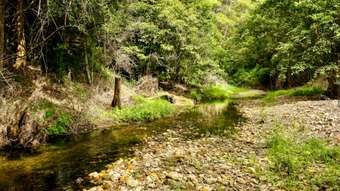 Farm Property for Sale - Lot 1 Graham Court Mount Pleasant QLD 4521