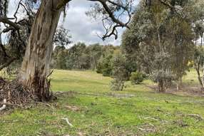 Farm Property for Sale -  Redbank-Barkly Road Barkly VIC 3384