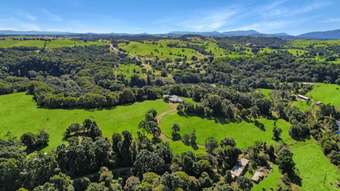 Farm Property for Sale - 105 Mahoney Road Millaa Millaa QLD 4886