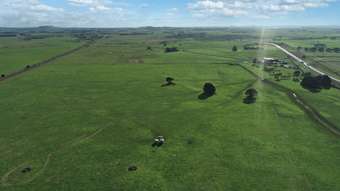 Farm Property for Sale - 3041 Princes Highway Weerite VIC 3260