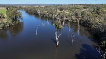 Farm Property for Sale - 8 Screening Plant Road, Cynthia Eidsvold QLD 4627