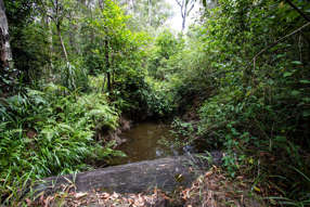 Farm Property for Sale - 506 Tullymorgan-Jacky Bulbin Road Mororo NSW 2469