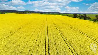 Farm Property for Sale - 377 Coocooboonah Lane Gunnedah NSW 2380