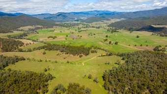 Farm Property for Sale - 1179 Mitta North Road Mitta Mitta VIC 3701