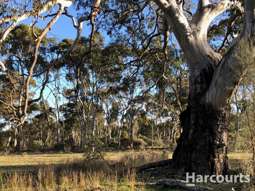 260A Emmersons Road Noradjuha VIC 3409