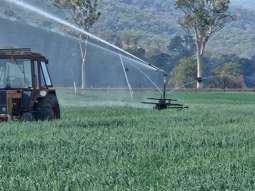 Farm Property for Sale - 9 Oakey Creek Road Cinnabar QLD 4600