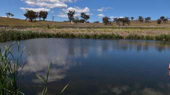 Farm Property for Sale - 75 Tarrawingee Road Mumbil via Wellington NSW 2820