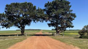 Farm Property for Sale - . Toompup South Borden WA 6338