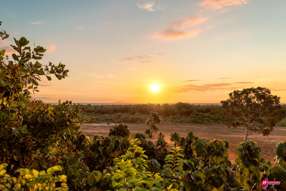 Farm Property for Sale - Lot 103 Plan 37645 Waterbank WA 6725