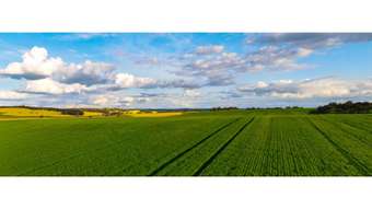 Farm Property for Sale - 139 Douglas Road Ryansbrook WA 6395