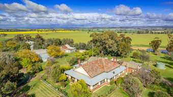 Farm Property for Sale - 4545 Canowindra Road Canowindra NSW 2804
