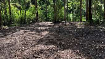 Farm Property for Sale - Comara NSW 2440