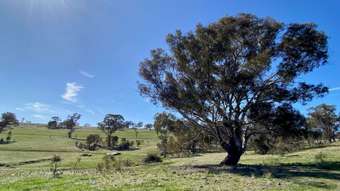 Farm Property for Sale - Lot 132, 1 Mutton Falls Road O&Amp;Apos;Connell NSW 2795