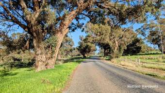 Farm Property for Sale - Lot M878 Caraban Road Woodridge WA 6041