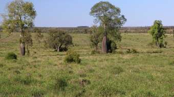 Farm Property for Sale - Roma QLD 4455