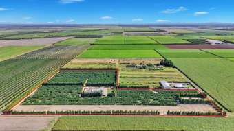 Farm Property for Sale - 243 Wises Road Alloway QLD 4670