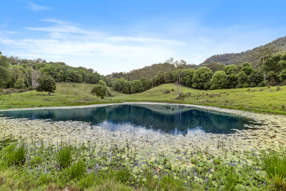 Farm Property for Sale - Chillingham NSW 2484