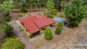 Farm Property for Sale - 13888 Vasse Highway Pemberton WA 6260