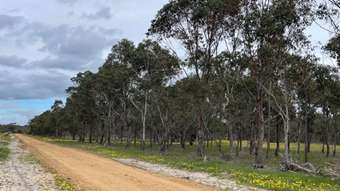 Farm Property for Sale - Martup Downs, Leggoe Road Beaufort River WA 6394