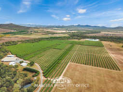 Farm Property for Sale - 65793 Burke Developmental Road Dimbulah QLD 4872