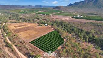 Farm Property for Sale -  Burke Developmental Road Dimbulah QLD 4872