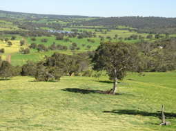 Farm Property for Sale - The Breakaway, Great Northern Highway Bindoon WA 6502