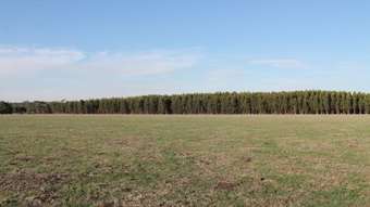 Farm Property for Sale - 260 Swan Marsh-Stonyford Road Pirron Yallock VIC 3249