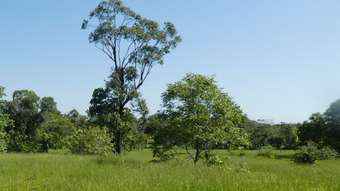 Farm Property for Sale - 2 Leo Road Maria Creeks QLD 4855