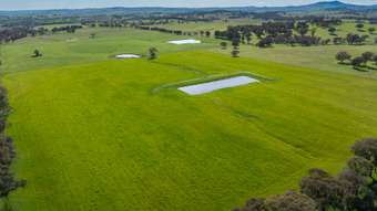 Farm Property for Sale - 220 Lyons Road Lyndhurst NSW 2797