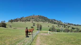 Farm Property for Sale - 628 Fingerpost Road Orielton TAS 7172