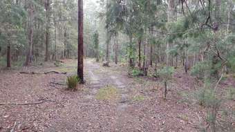 Farm Property for Sale - 4 Chicks Road Paluma QLD 4816