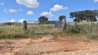 Farm Property for Sale - 1268 Neurea Road Mumbil NSW 2820