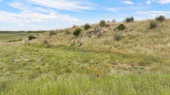 Farm Property for Sale - Lot 2 Cockerills Road Dreeite VIC 3249