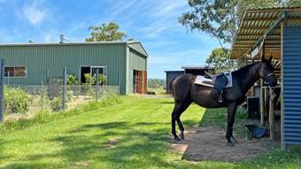 Farm Property for Sale - 7888 Bruxner Highway Tabulam NSW 2469
