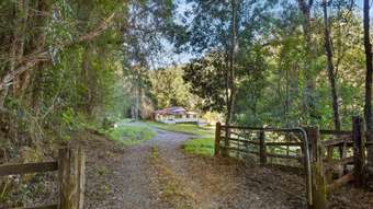 Farm Property for Sale - 1820 Numinbah Road Numinbah NSW 2484
