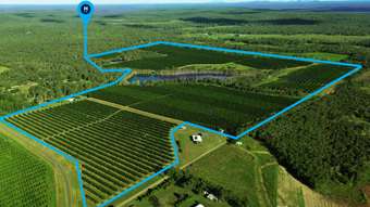 Farm Property for Sale - Lot 21 Butchers Road South Isis QLD 4660