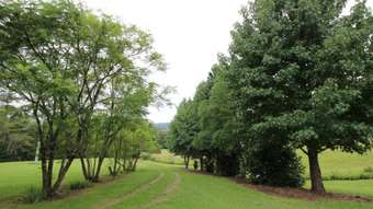 Farm Property for Sale - 2595 Pappinbarra Rd Pappinbarra NSW 2446