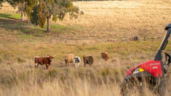 Farm Property for Sale - 3641 Frogmore Road Hovells Creek NSW 2794