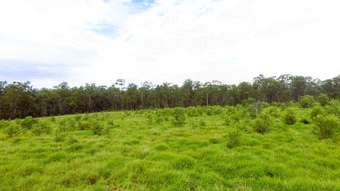 Farm Property for Sale - 2 Bradshaw Road Owanyilla QLD 4650
